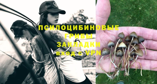 спайс Балабаново