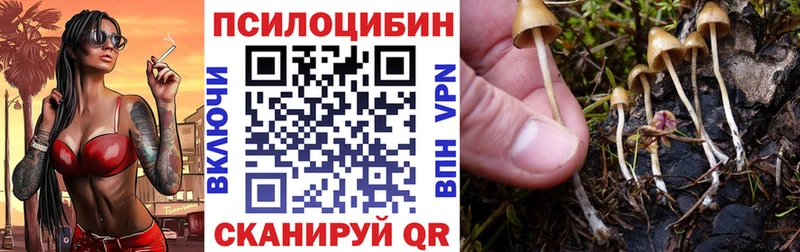площадка как зайти  купить   Никольское  Галлюциногенные грибы Magic Shrooms 